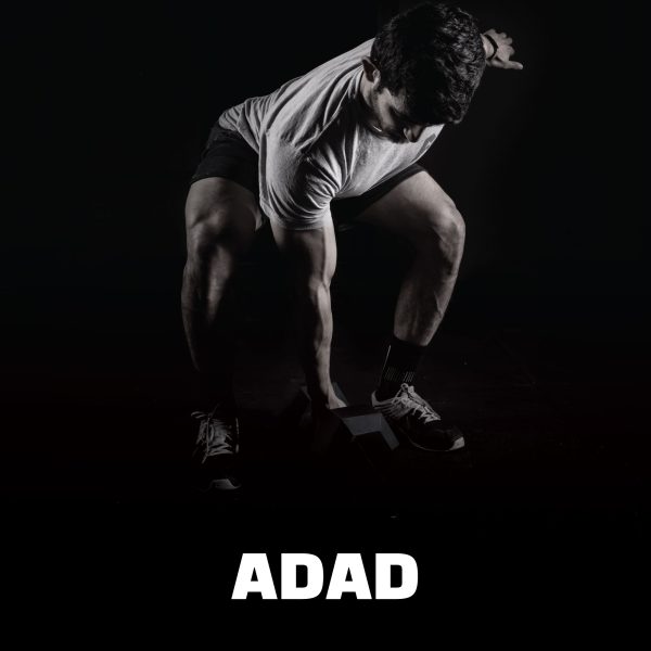 پرسونال ترینینگ آنلاین اختصاصی